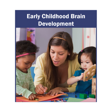 Early Childhood Brain Development