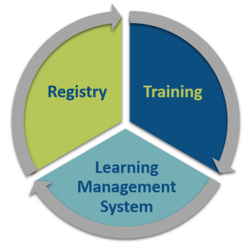 Professional Development System graphic